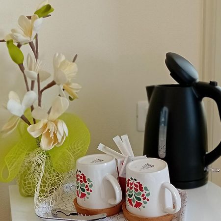 B&B Villino Luschi Pisa Centro Eksteriør bilde