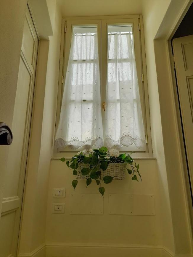 B&B Villino Luschi Pisa Centro Eksteriør bilde